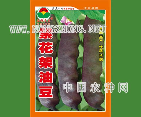 紫花架油豆